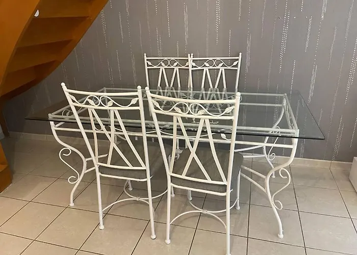 Maison Entiere Chenove Avec Jardin